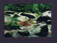 /album/fotogalerie-uvodni-stranka/vydra1-11-fengshui-kariera-osud-plynuti-danajirsakova-jpg/