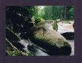 /album/fotogalerie-uvodni-stranka/vydra2-11-fengshui-kariera-osud-plynuti-danajirsakova-jpg/