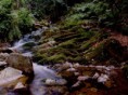 /album/fotogalerie-uvodni-stranka/sumava06-fengshui-kariera-osud-plynuti-danajirsakova-jpg/